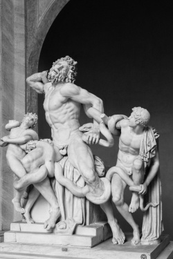Vatican Museum - statue of Laocoön and His Sons, Vatican City